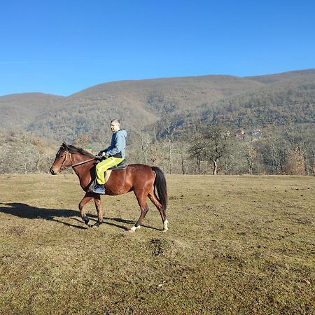 Seoski Turizam Zilicina Rogatica Esterno foto
