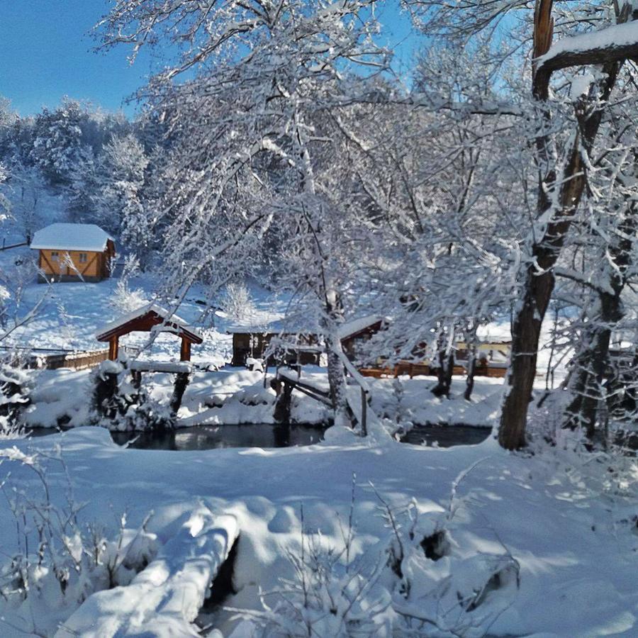 Seoski Turizam Zilicina Rogatica Esterno foto