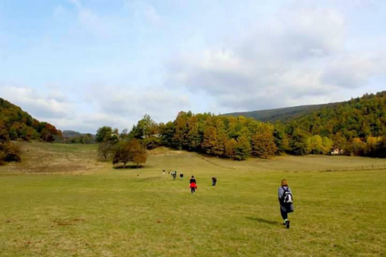 Seoski Turizam Zilicina Rogatica Esterno foto