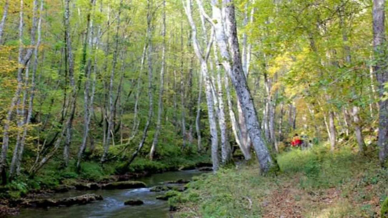 Seoski Turizam Zilicina Rogatica Esterno foto