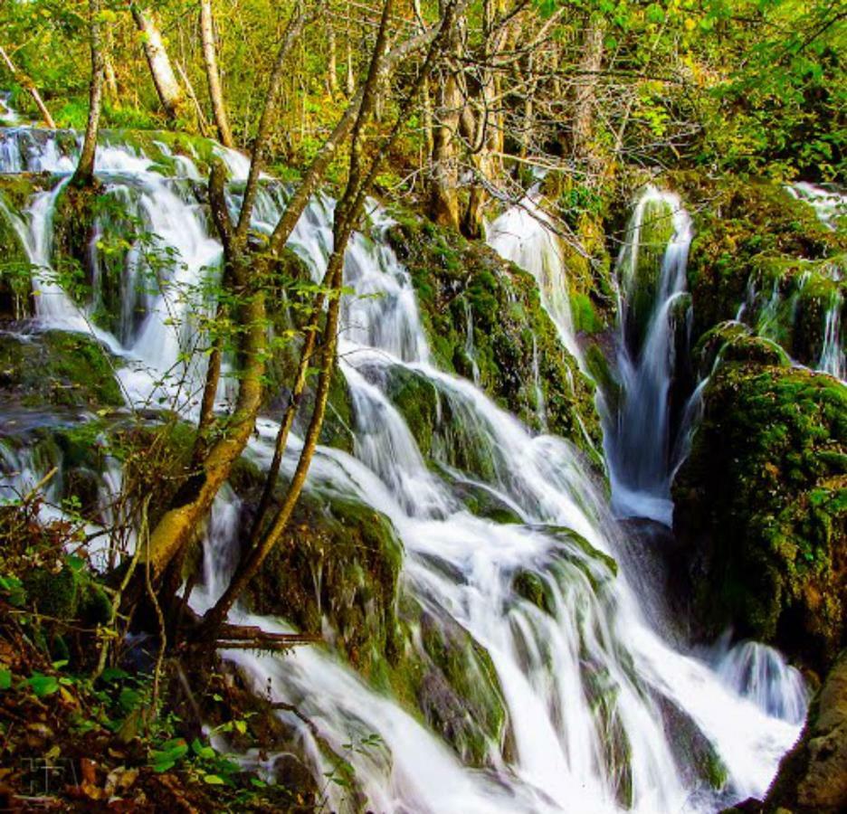 Seoski Turizam Zilicina Rogatica Esterno foto