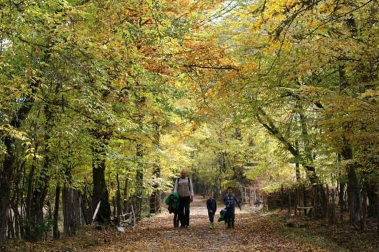Seoski Turizam Zilicina Rogatica Esterno foto